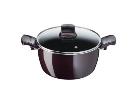 Tefal Resist Intense Stewpot 24cm Cheap