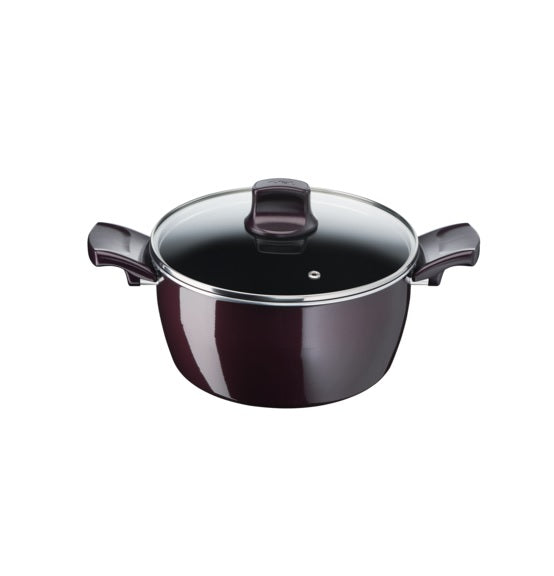 Tefal Resist Intense Stewpot 24cm Cheap