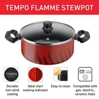 Tefal Tempo Flamme Stewpot 20cm Cheap