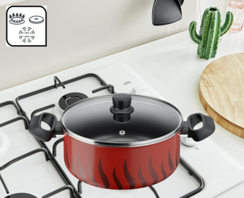 Tefal Tempo Flamme Stewpot 20cm Cheap