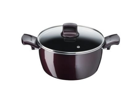 Tefal Resist Intense Stewpot 22cm For Sale