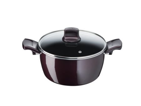 Tefal Resist Intense Stewpot 30 Cm Hot on Sale